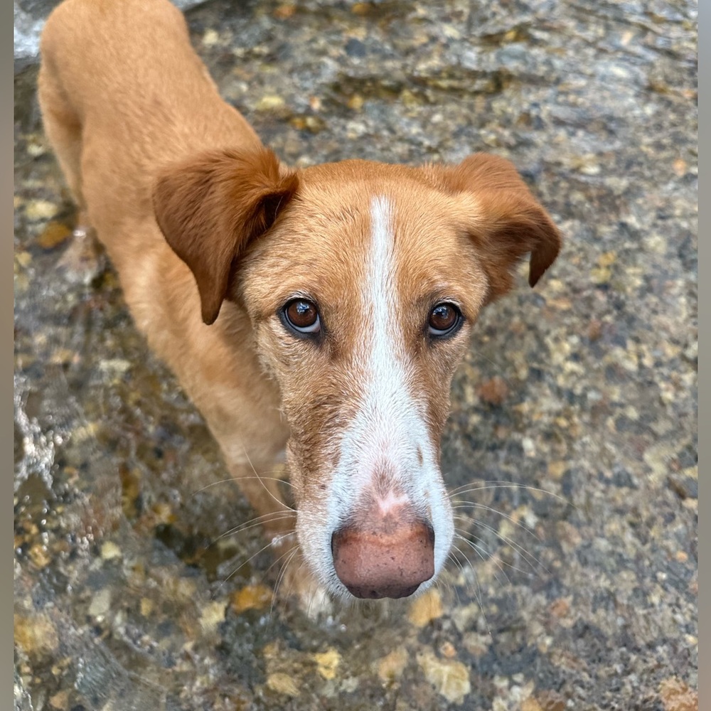 Meet your Posher, Charlee jo